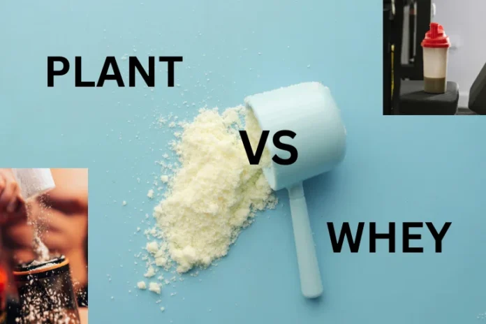 Whey or Plant Protein? Comparing Nutritional Value & Best Choice for You
