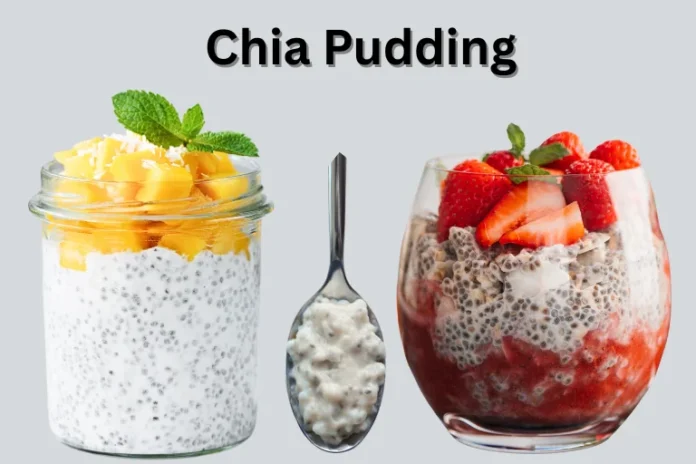 Healthy & Easy Chia Pudding Recipes to Support Weight Loss