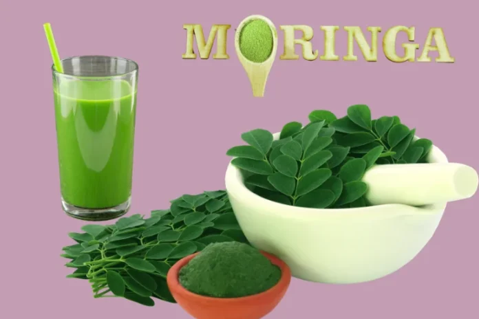Moringa Benefits: Why This Superfood Should Be in Your Diet