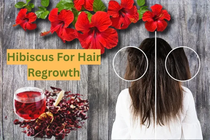 Hibiscus for Hair Growth: A Complete Guide to Uses, Benefits & Side Effects