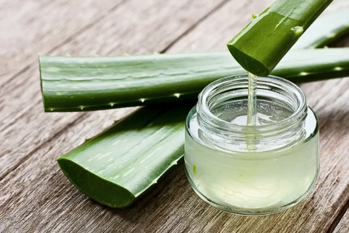 Aloe Vera Benefits, Uses, and Side Effects: A Complete Health & Skincare Guide