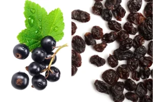 Black, Golden, Green & More: Raisin Types, Health Benefits, and Best Uses